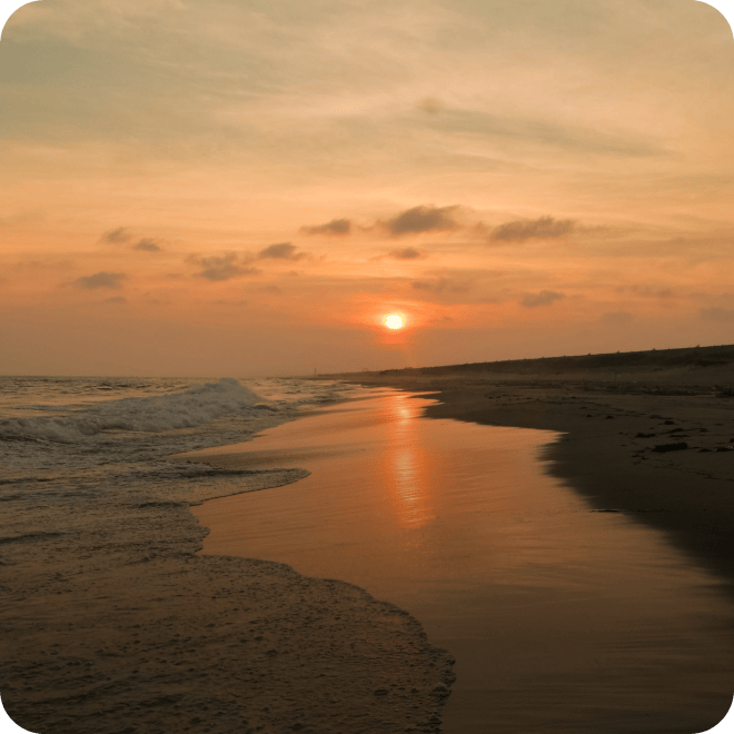 浜松の自然フィールド「海岸」。遠州灘に面した砂浜。