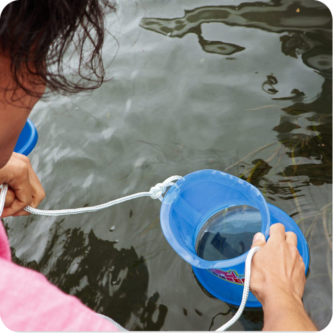 浜名湖での生き物観察。