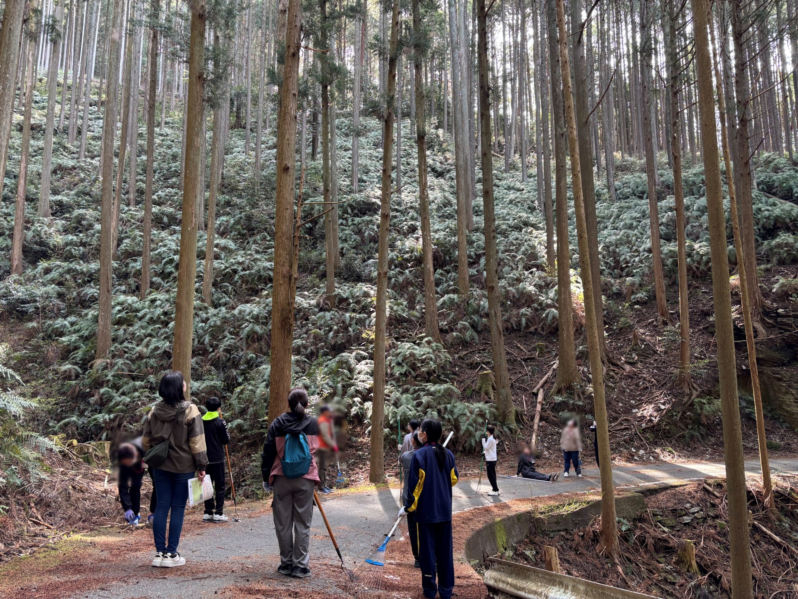 森林の中で地域体験活動を行う人々。