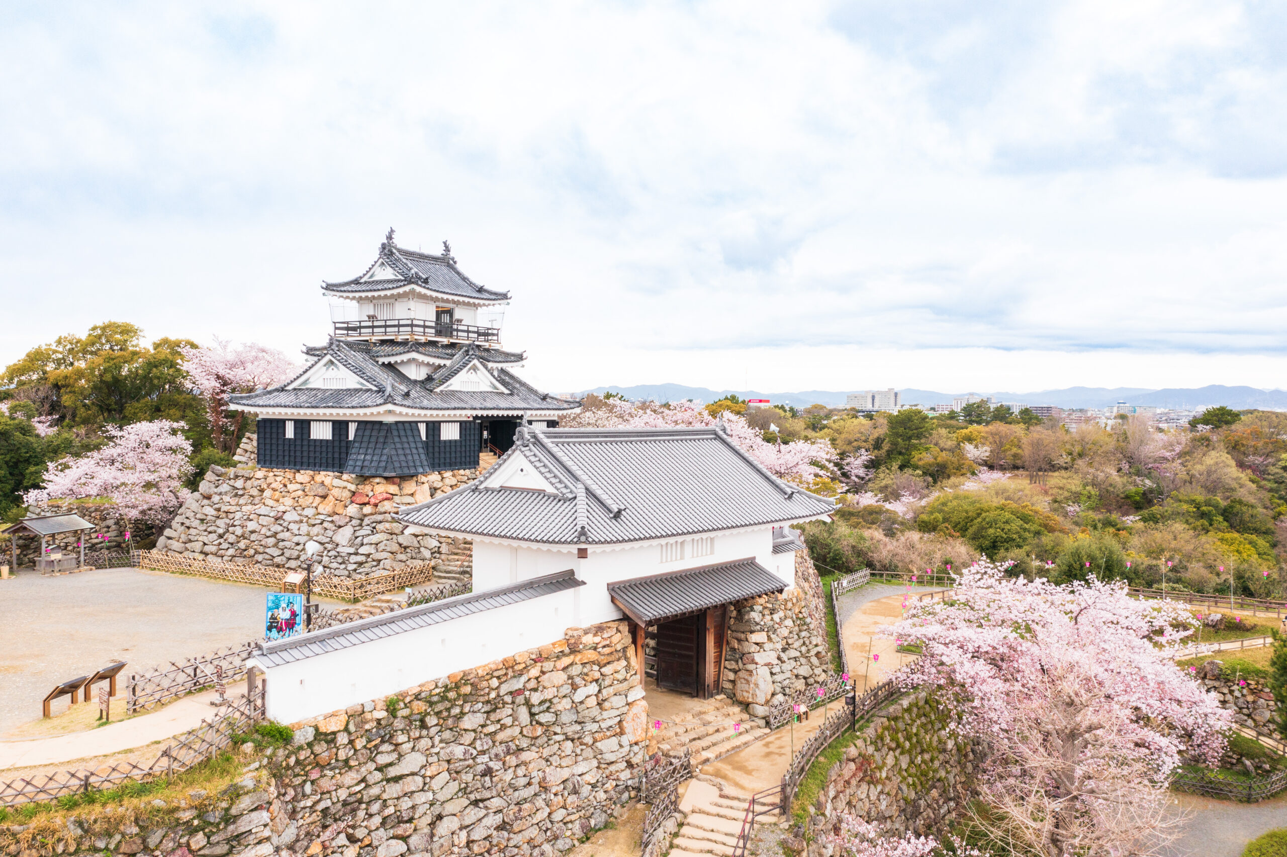 浜松城公園の浜松城と桜の風景。