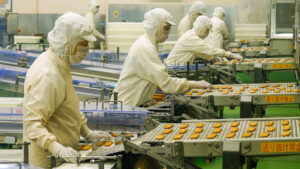 うなぎパイファクトリーの生産工程。作業員が手作業でうなぎパイを検品している様子。